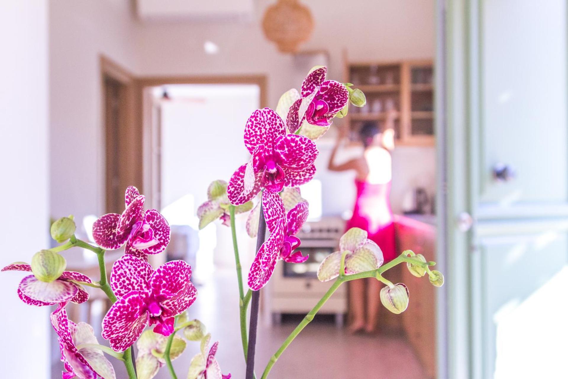 Petra Boutique Villas Arginonda Cameră foto